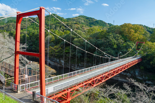 Konstfotografi 豊川に架かる桜淵公園の笠岩橋（愛知県新城市）