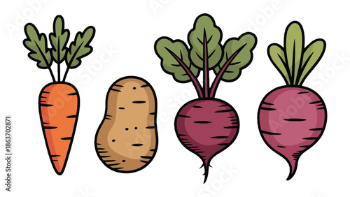 Fresh from the Garden: A vibrant medley of fresh carrots, potatoes and beetroot. Each vegetable, bursting with natural goodness, represents the wholesome essence of organic produce.