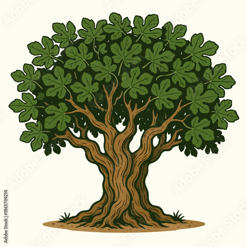 illustration of an ancient fig tree