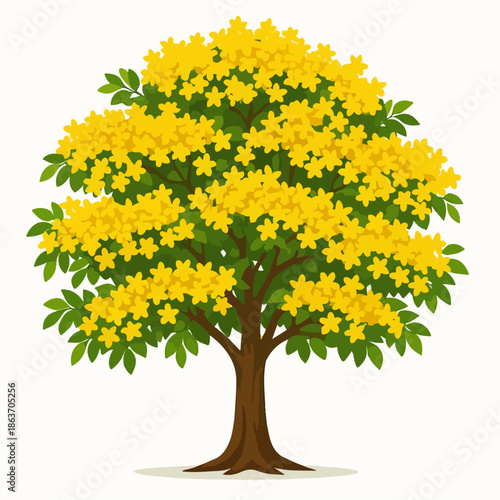 Illustration of a flowering angsana tree