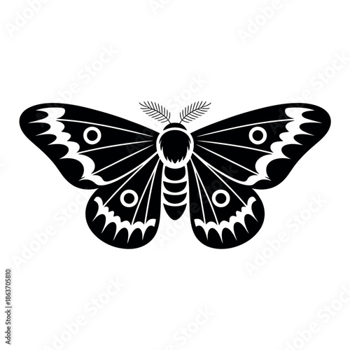 Black and white detailed moth illustration displays intricate wing patterns on.
