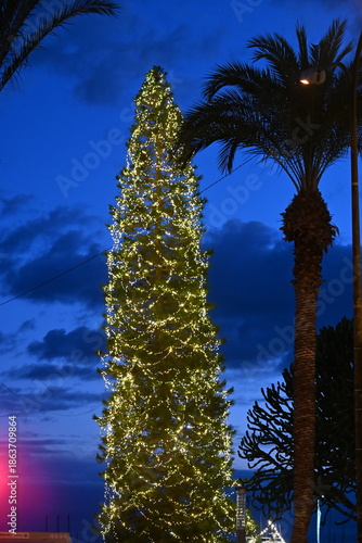 A large illuminated Christmas tree with palm trees and a Bethlehem star on top
