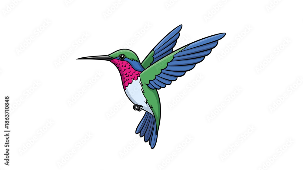 Obraz premium Vibrant hummingbird with outstretched wings, captured mid-flight against a clean white background