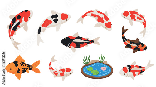 Isometric koi fish collection with pond decor on white background