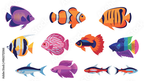 Colorful tropical fish collection in modern flat design