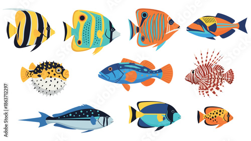 Colorful collection of tropical fish on white background