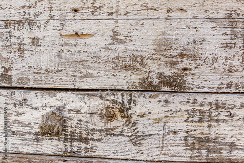 Detailed close up of rustic wooden planks with natural grain, rough texture, scratches, and weathered surface. Perfect background for design projects, vintage decor, carpentry, and creative artwork.