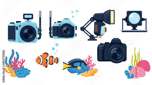 Underwater photography equipment and marine life cartoon collection