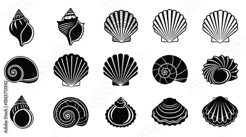 Set of 12 Minimalist Seashell Silhouette Icons – Vector Illustrations of Scallop, Conch, Starfish, and Marine Mollusks for Summer Beach Design and Coastal Branding