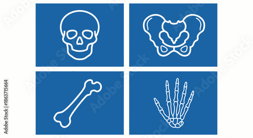 Human skeletal anatomy icons set vector illustration