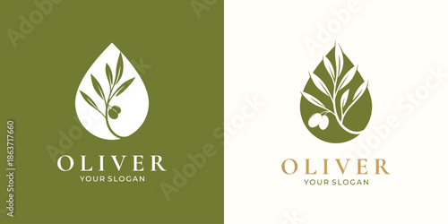 Olive leaf drop logo design natural