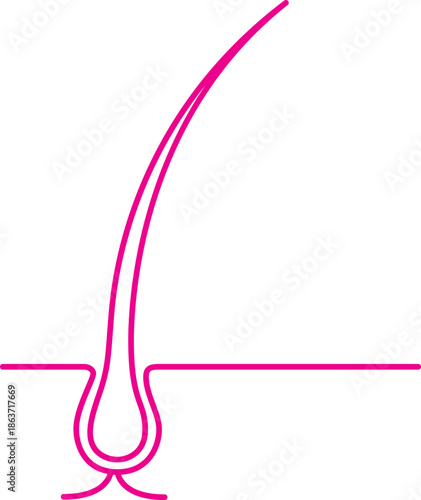 Hair Follicle Diagram Icon for Beauty and Hair Care Concepts