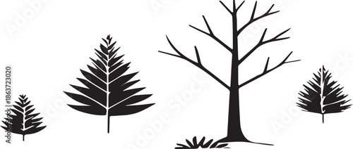 Black Silhouette of a Bare Tree and Pine Trees on White Background deciduous