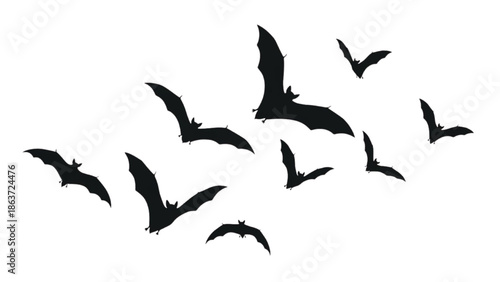 A flock of bats flying in the dark sky at dusk from a low angle viewpoint
