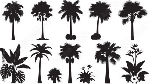 Collection of Black Silhouettes of Palm Trees and Tropical Plants on White Background