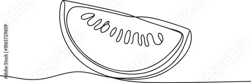 Continuous one line drawing Water Melon Fruit. one line vector illustration with out background