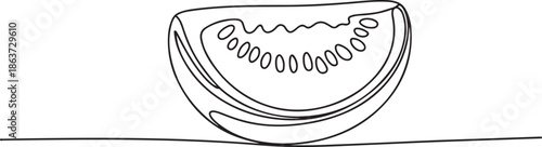 Continuous one line drawing Water Melon Fruit. one line vector illustration with out background
