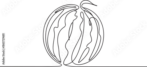 Continuous one line drawing Water Melon Fruit. one line vector illustration with out background