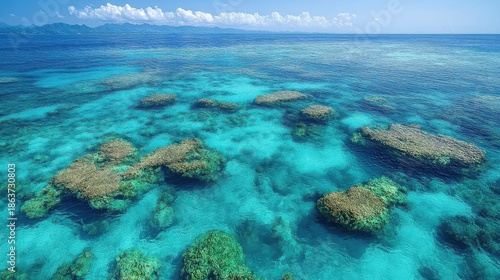 Underwater Coral Reef Ecosystem With Clear Blue Tropical Ocean Water Sunlight Shining Through