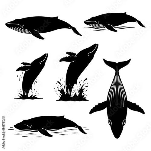 Silhouette set of whales and marine life swimming in the deep ocean water.