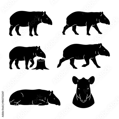 Black silhouette set of tapirs from the tropical forest environment.