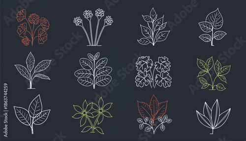 Minimalist Plant Illustration Pack - Thin Line Art Modern Flat Style