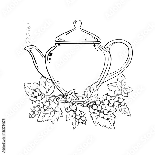 Black Currant Tea in Teapot aroma beverage Outline Illustration. Vector isolated for Design and Decoration for Cafeteria, Posters, Banners, Cards.