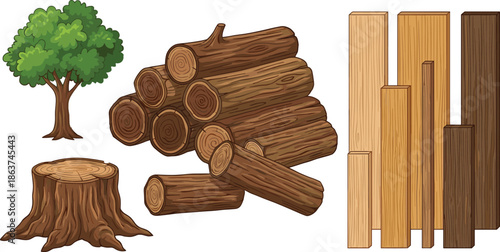 Vector lumber assortment showing felled tree stacked log pile sawn planks large stump detailed woodgrain illustrations for material catalog and supply
