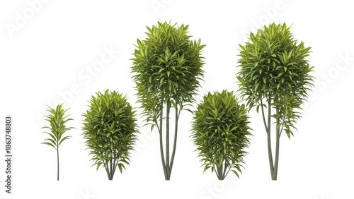 Decorative Green Trees on White Background, 3D Render, Isolated Plants