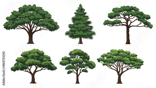 Collection of six different types of green trees including deciduous and coniferous species isolated on a white background.