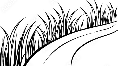 Black silhouette of grass on white background