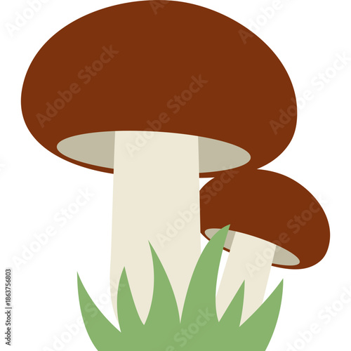 Cute Mushroom Illustration