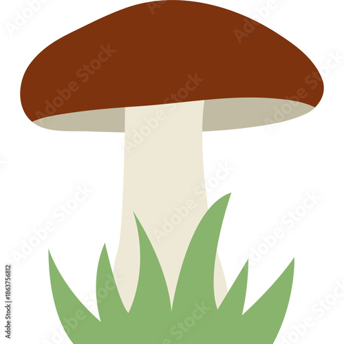 Cute Mushroom Illustration