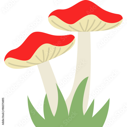 Cute Mushroom Illustration
