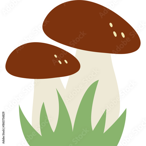 Cute Mushroom Illustration