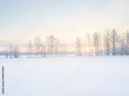 Minimal Winter Landscape with Snow and Bare Trees