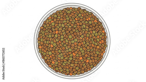Bowl of mixed lentils healthy raw food ingredient top view illustration for culinary use isolated on white