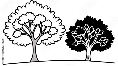 Contrasting trees in black and white illustration style