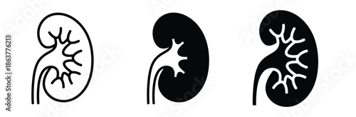 Kidney anatomy illustrations in black and white,Kidney icon vector For Print, Kidney Clipart, Kidney vector Illustration,Kidneys icon symbol collection. Flat vector stock illustration.