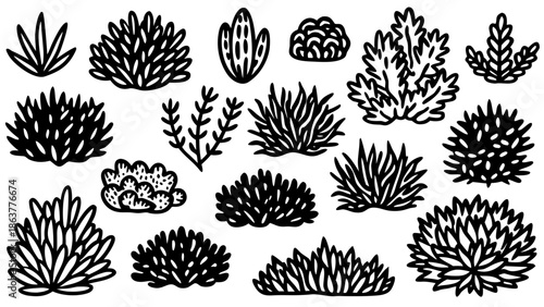 Collection of various succulent plants and cacti in black and white