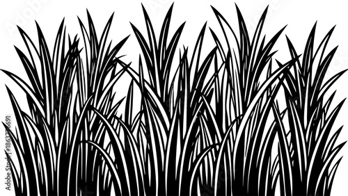 Dense black grass silhouettes on white background