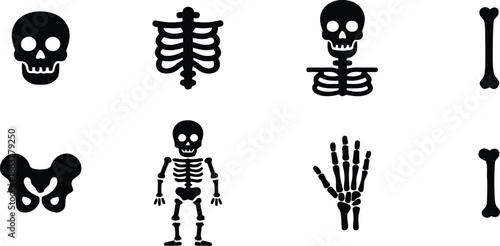 Human skeleton anatomy icons set collection with skull ribs and bones isolated on transparent background vector illustration
