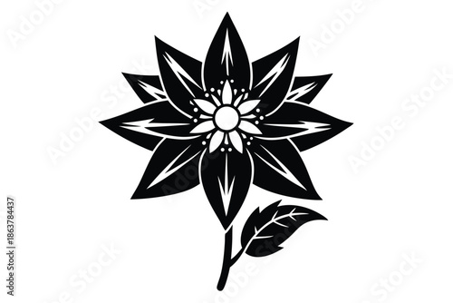 edelweiss silhouette line art vector illustration
