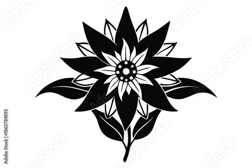 edelweiss silhouette line art vector illustration
