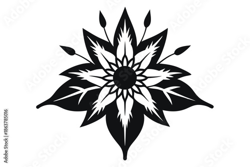 edelweiss silhouette line art vector illustration