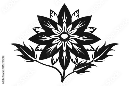 edelweiss silhouette line art vector illustration
