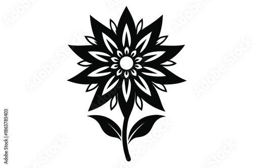 edelweiss silhouette line art vector illustration