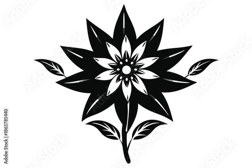 edelweiss silhouette line art vector illustration