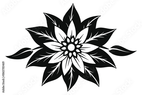 edelweiss silhouette line art vector illustration