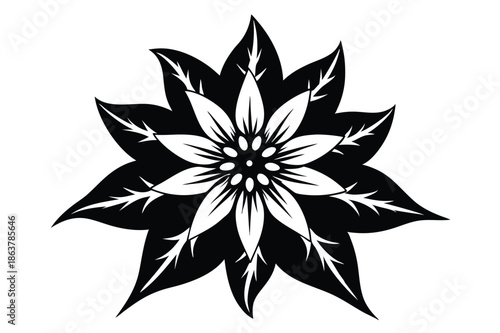 edelweiss silhouette line art vector illustration